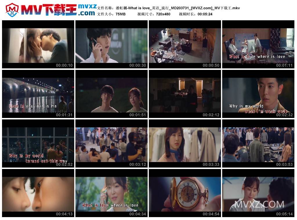 潘虹樾-What is love_英语_流行_MD203731